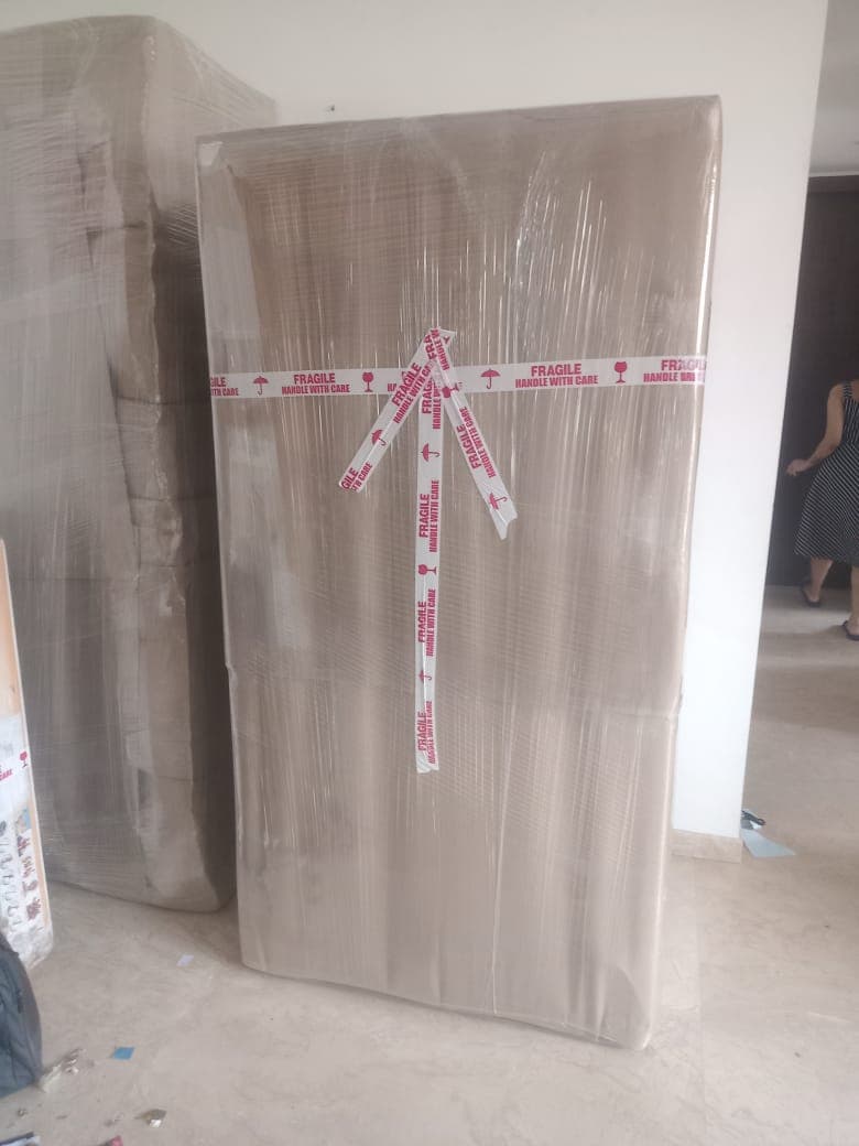 Professional packing and moving service