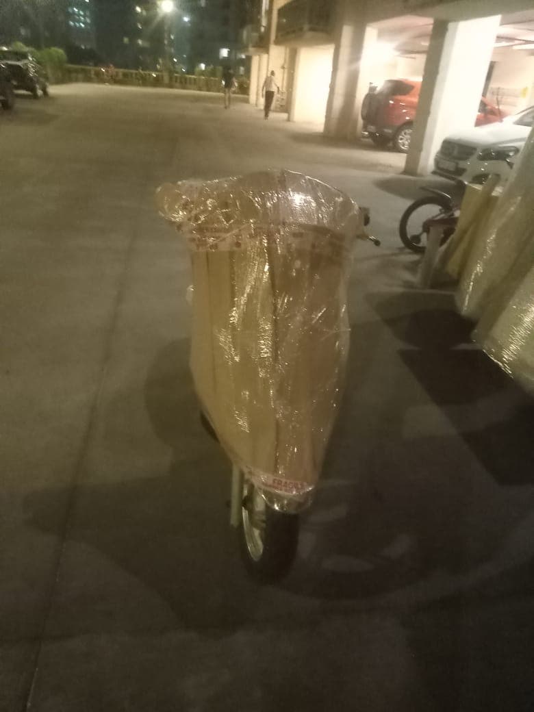 Professional packing and moving service