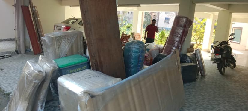 Professional packing and moving service