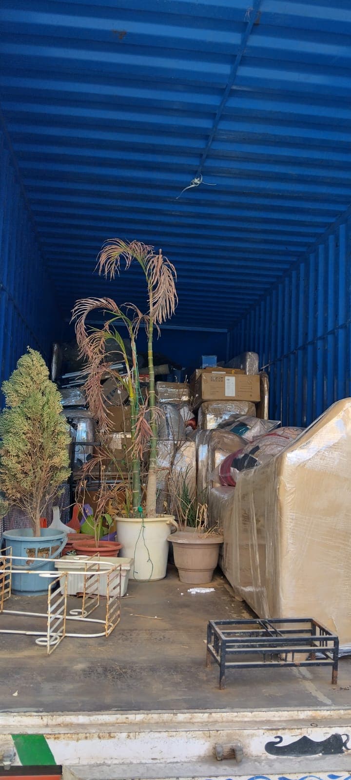 Professional packing and moving service