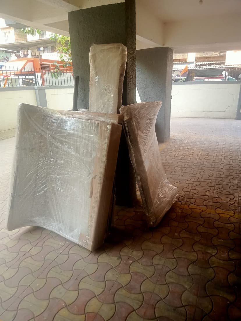 Professional packing and moving service