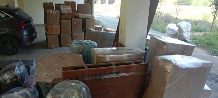 Professional packing and moving service