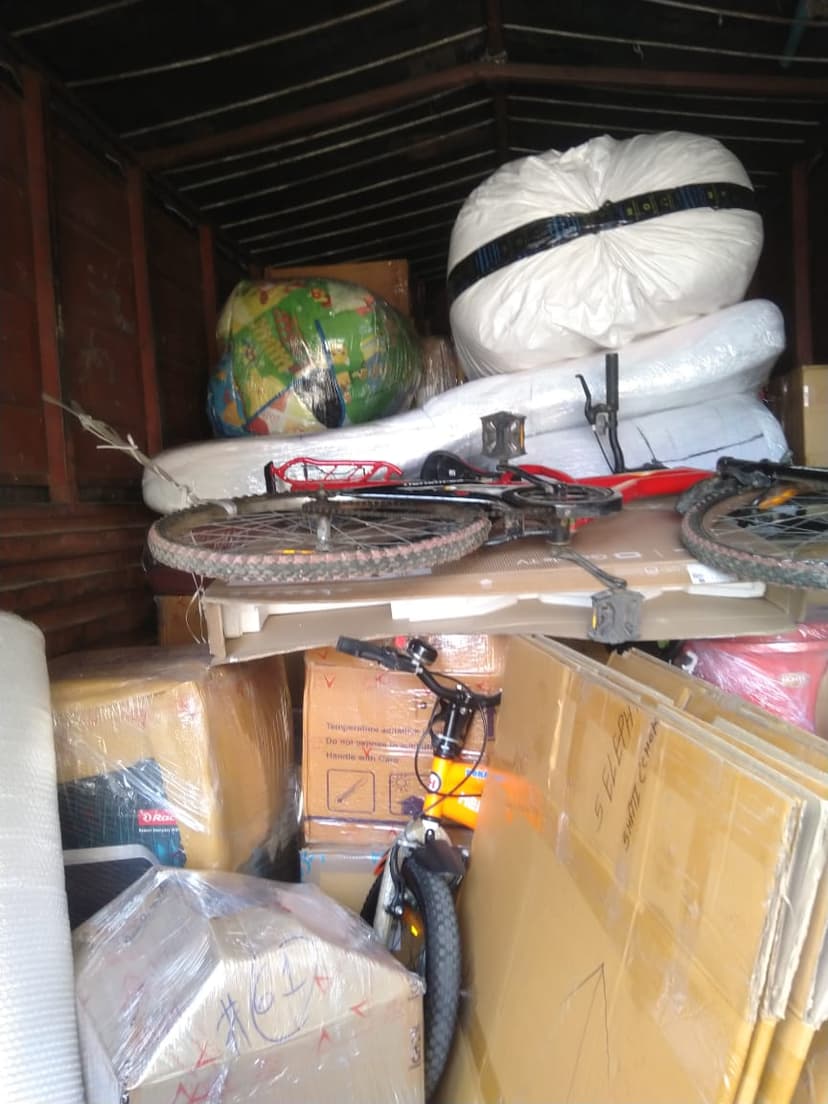 Professional packing and moving service