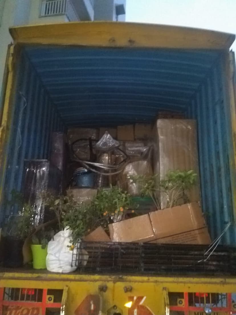 Professional packing and moving service
