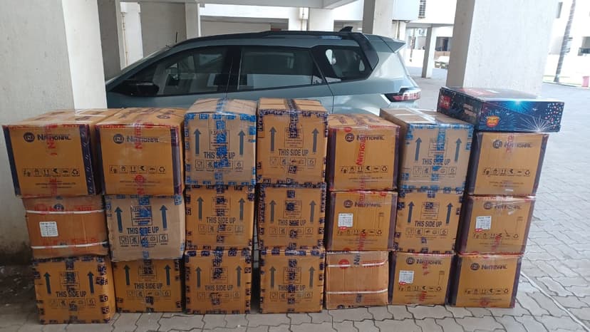 Professional packing and moving service