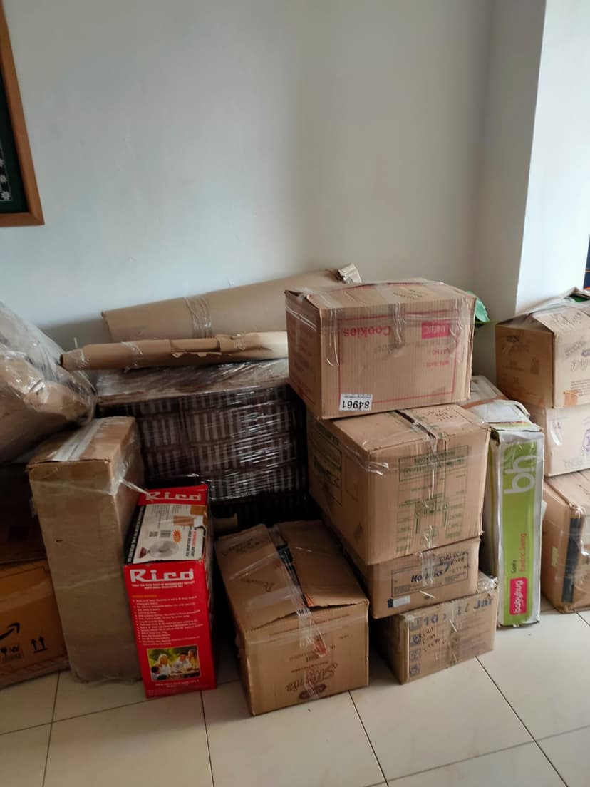 Professional packing and moving service