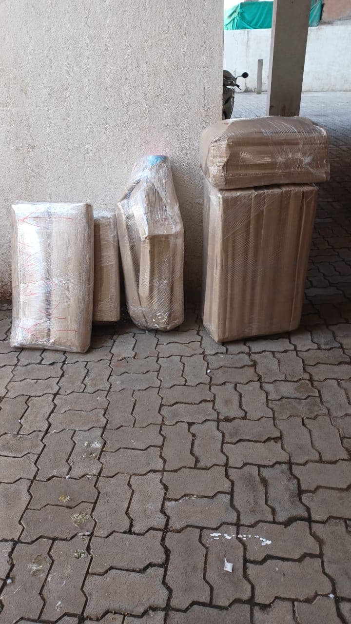 Professional packing and moving service