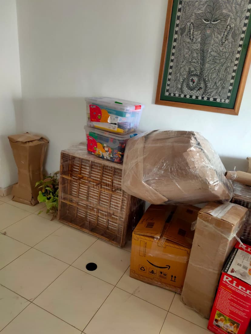 Professional packing and moving service