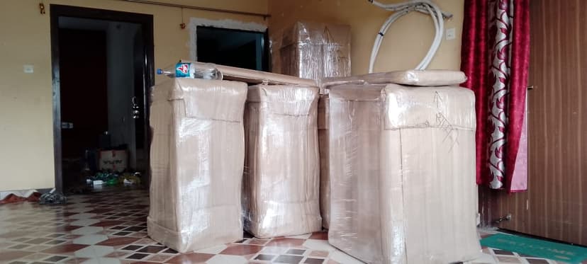 Professional packing and moving service