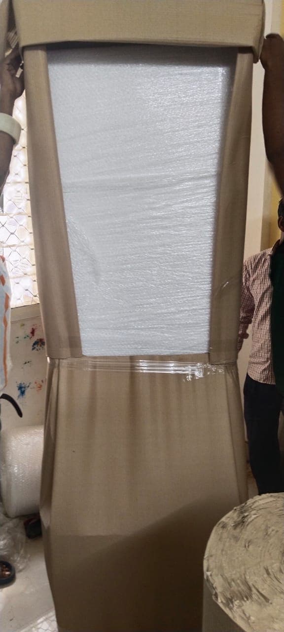 Professional packing and moving service