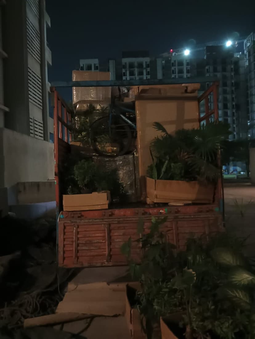 Professional packing and moving service