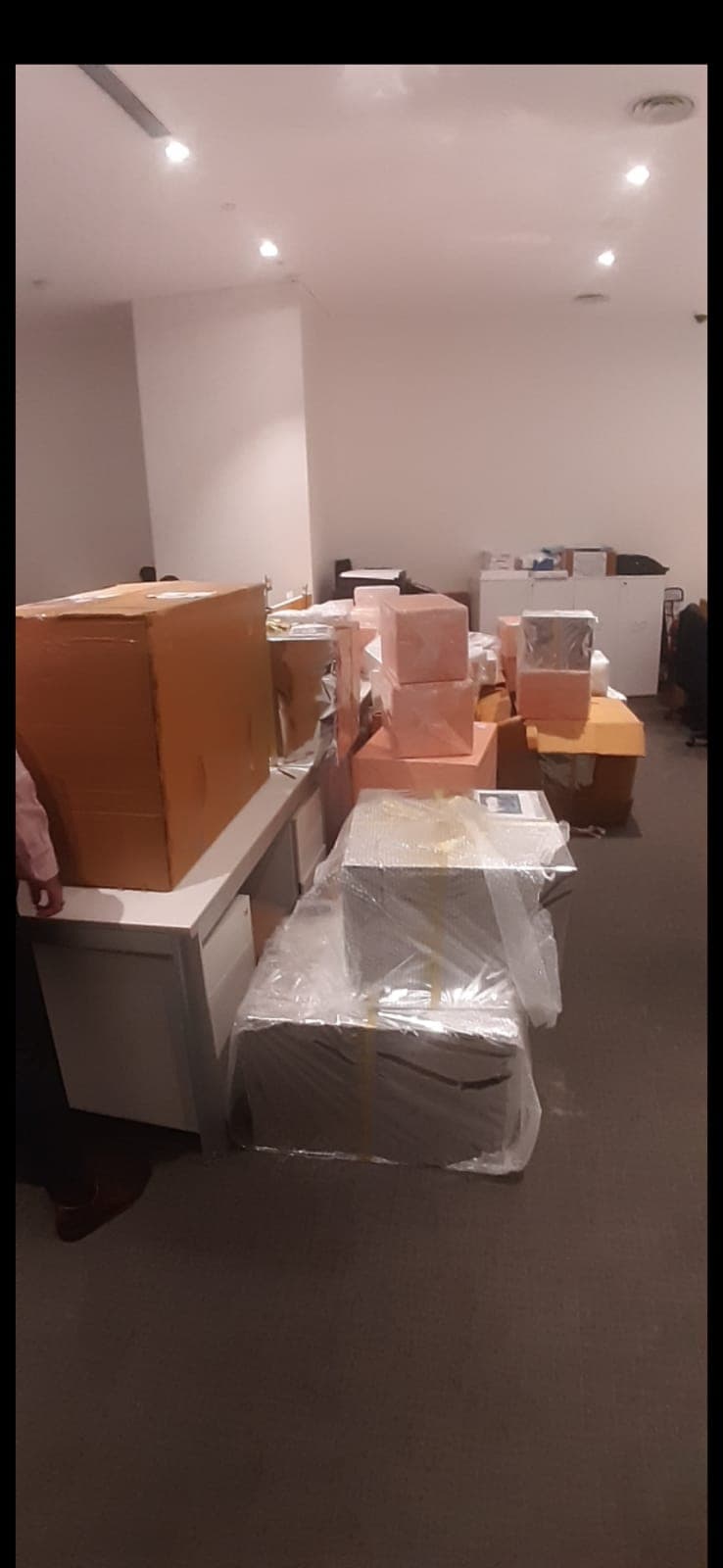 Professional packing and moving service