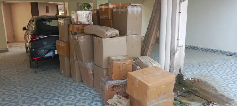 Professional packing and moving service
