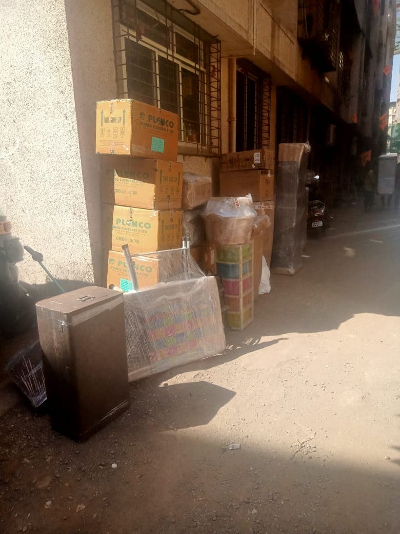 Professional packing and moving service