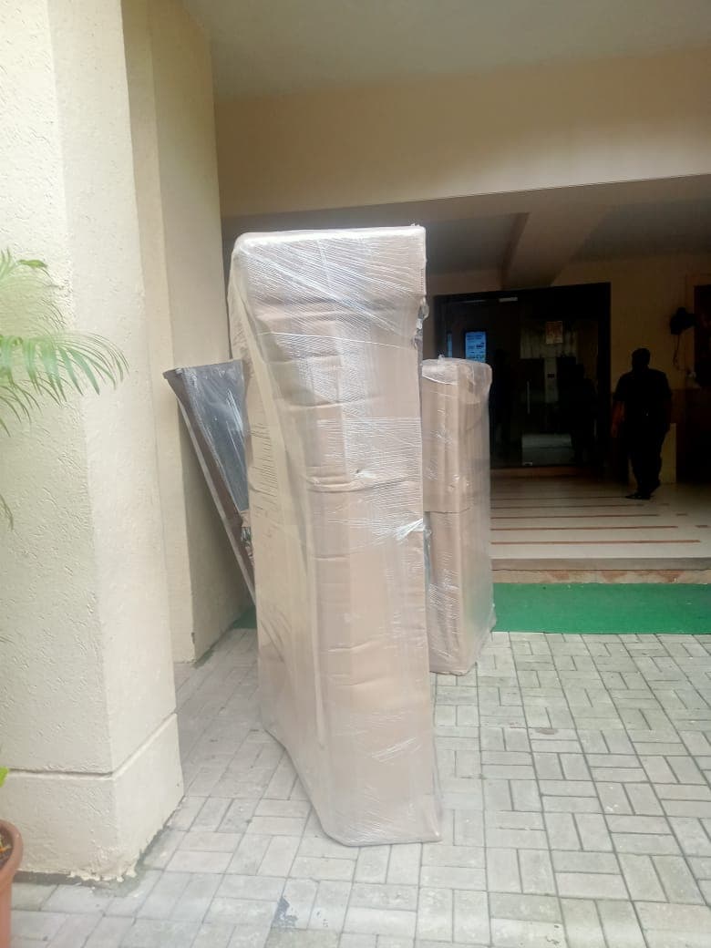 Professional packing and moving service