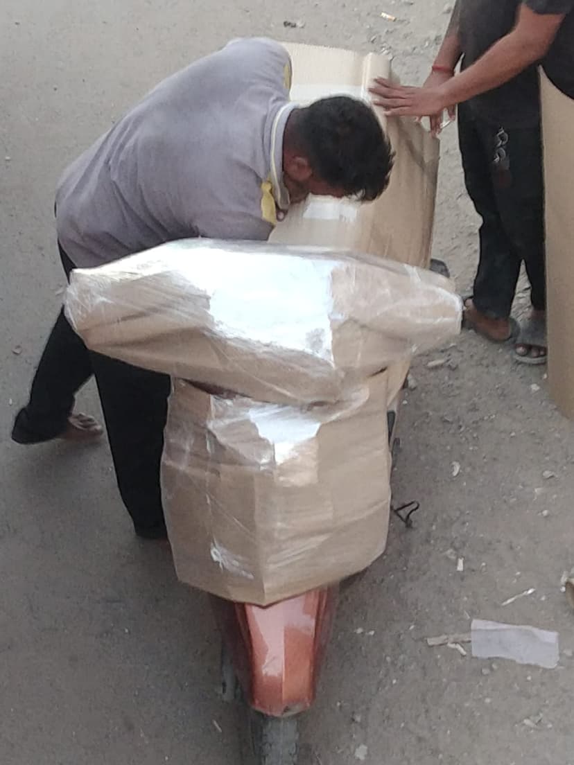 Professional packing and moving service