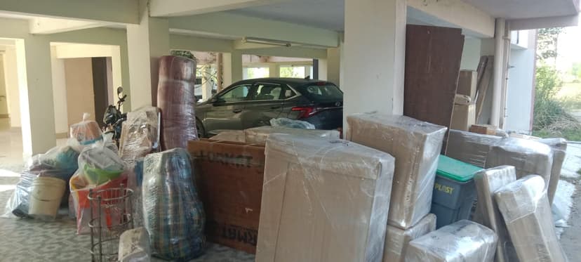 Professional packing and moving service