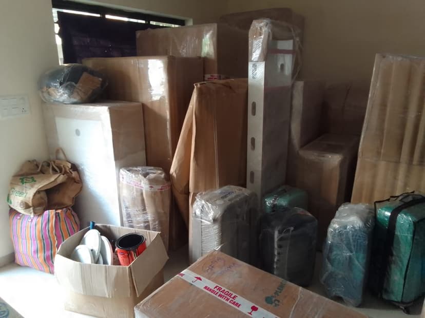 Professional packing and moving service