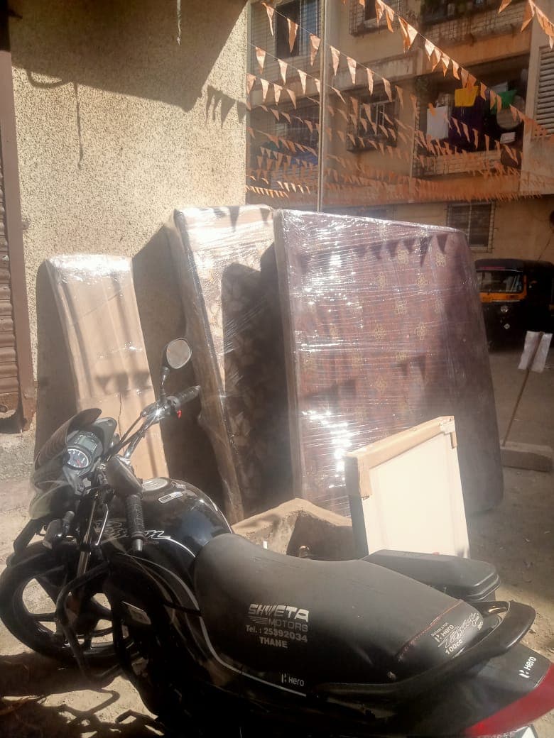 Professional packing and moving service