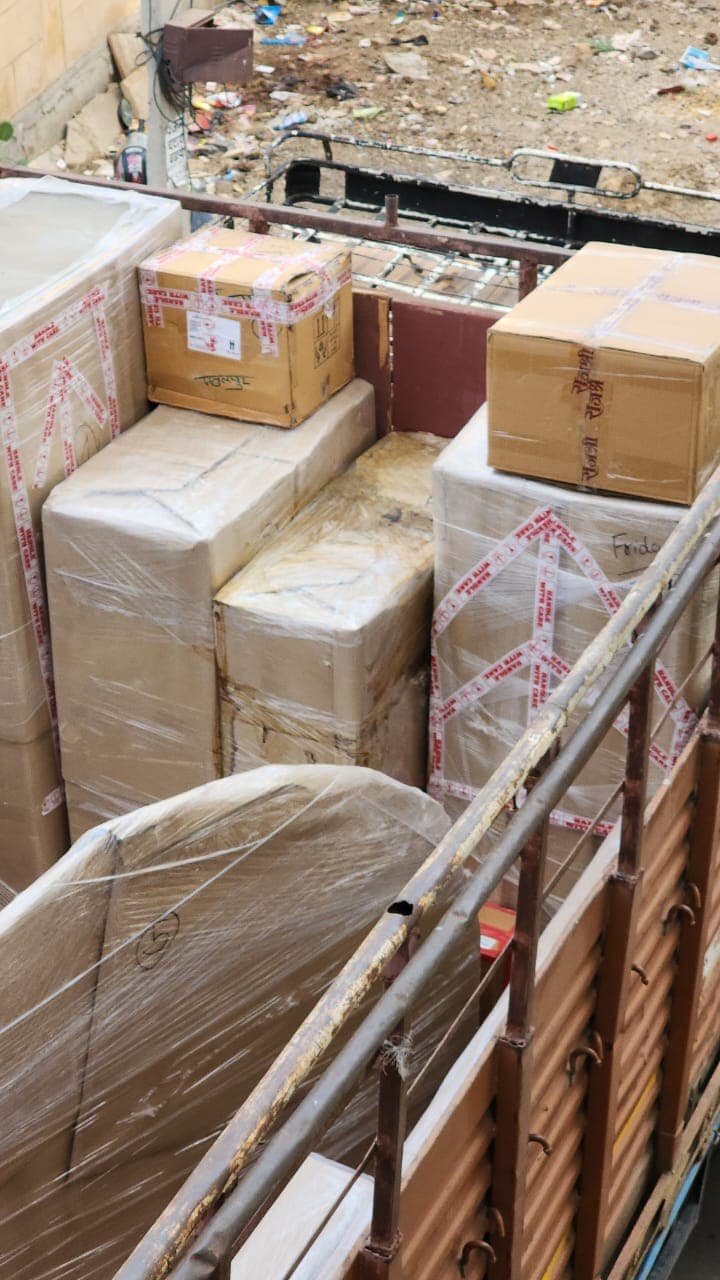 Professional packing and moving service