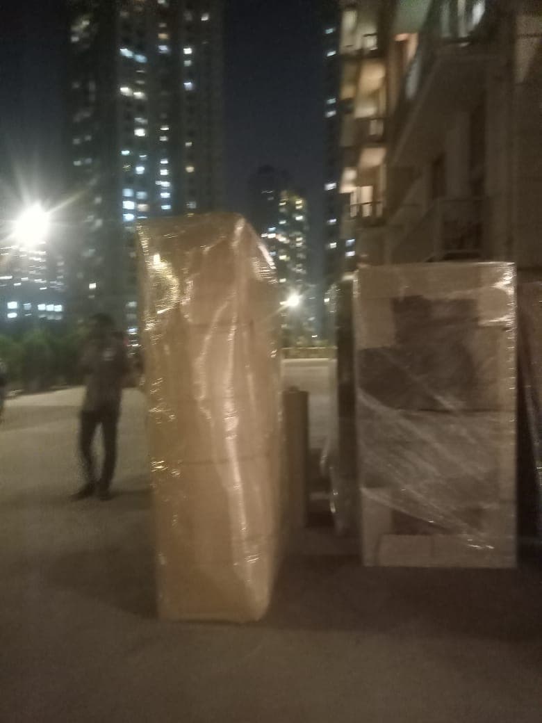 Professional packing and moving service