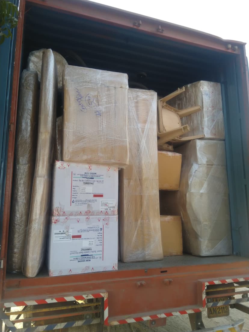 Professional packing and moving service