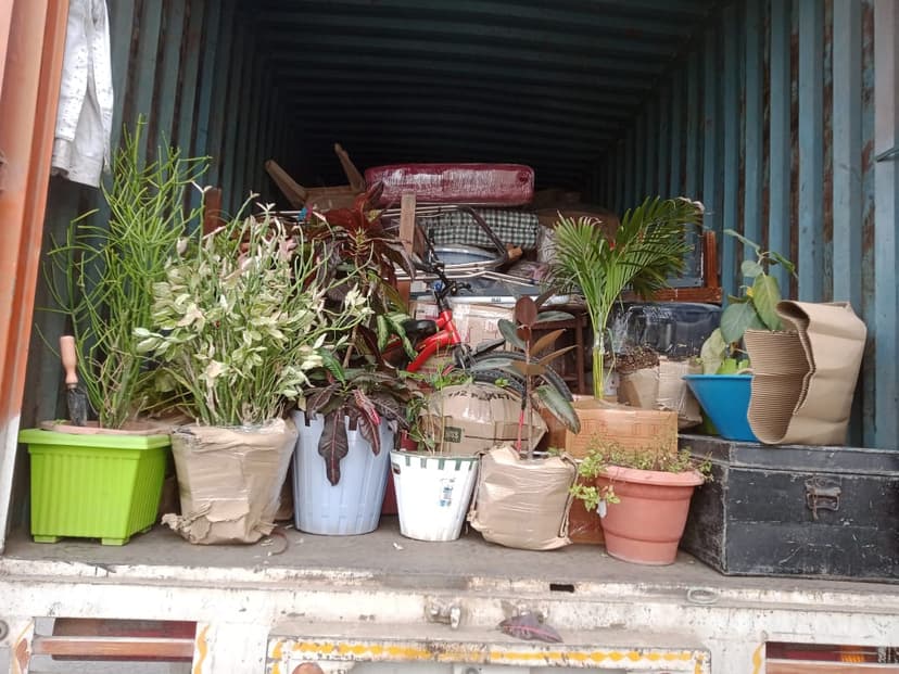 Professional packing and moving service